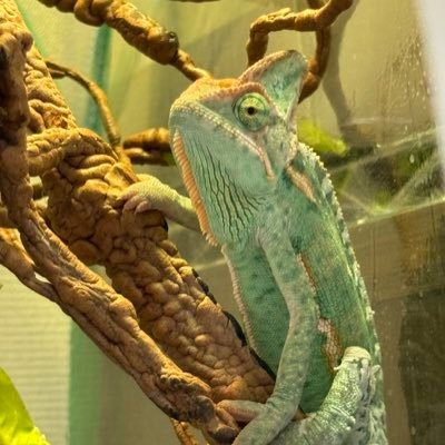 anko01130329's profile picture. 