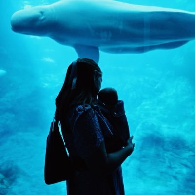 DaniiMarie_13's profile picture. Catholic. Wife. Mom.