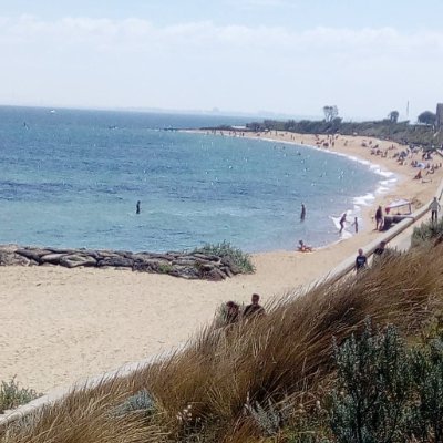 feebe_free's profile picture. 🦂 

"NO" DM's