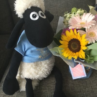 hitsujinonaru's profile picture. 小さな小人達(子供2人)の召使いして早9年です。ひつじ(ひつじのショーン)を溺愛しています。毎日介護と育児となんかかんだでバタバタになりつつあります多忙です…(つД`)ノ #都こんばー #こんちくわ同盟 最近バスケ🏀(名古屋D)とサッカー⚽️(SAMURAI BLUEとグランパス)が好きです🫶