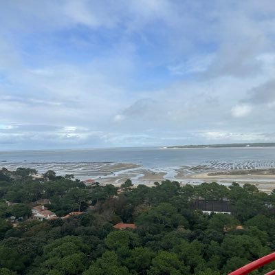 Nalex9010's profile picture. 