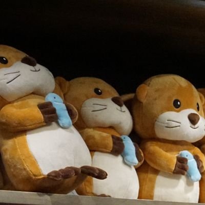 LinSam317969's profile picture.