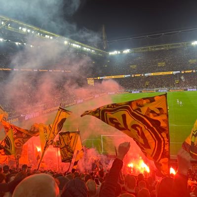 Matzebvb's profile picture. 🖤💛