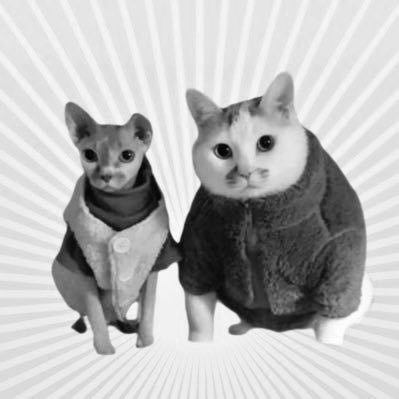 laladaj1's profile picture. ผู้ทรงพลัง