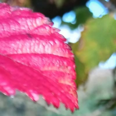 AlexBeau8's profile picture.