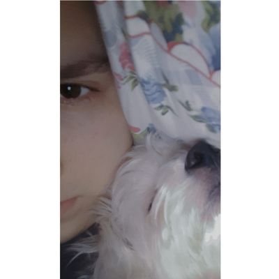 tayfunddev's profile picture. Hi, I'm little a frontend developer💻 I like writing code with listen music 🎧