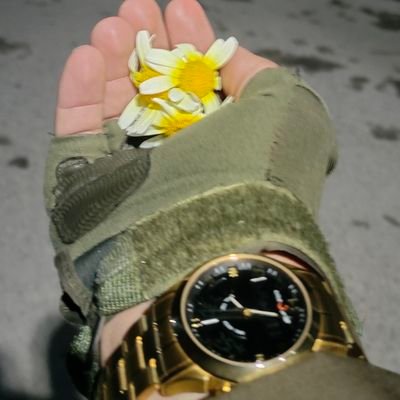 syed9043's profile picture. سيد الہام اللہ فرھادی