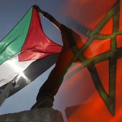 JidiNajoua's profile picture. Le monde pense que #Gaza est occupée par #Israel. La vérité, c'est que le monde est occupé par Israël sauf Gaza.
#FREEPALESTINE ☪