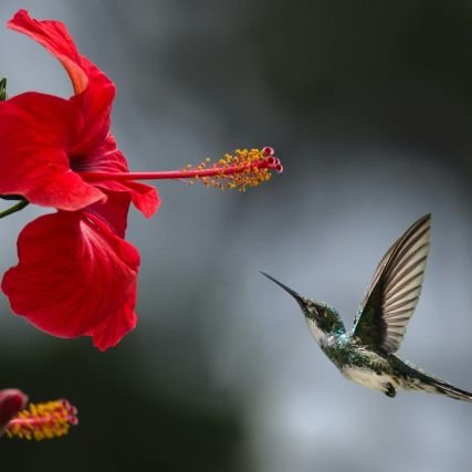 pankaj82442's profile picture. Made in Punjab 💪 | Motivation is my style, positivity my power 🌞