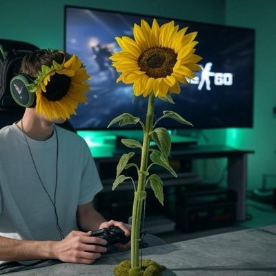 hanselov's profile picture. hi x, it’s me, AGAIN!