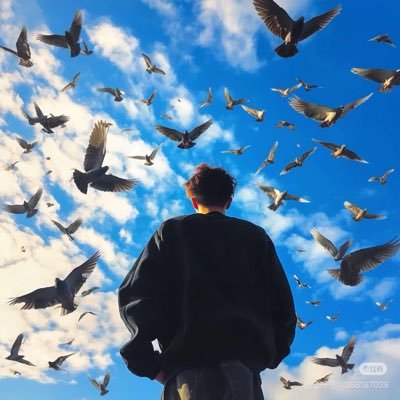 ly_nn44211's profile picture. 