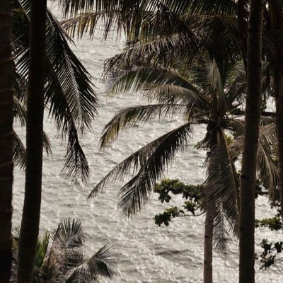 saturn71612's profile picture. 