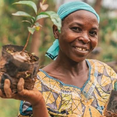 fiatort's profile picture. food is life
bao bao 🐼