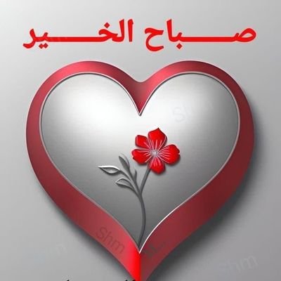 mnbv9213's profile picture. 