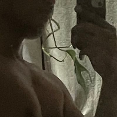 graduatedxylind's profile picture. |just an afterwork dump | VT | supposedly P4P but whatevaa