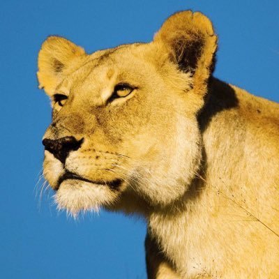 M7361846811884's profile picture. radfem｜我既是掌舵者也是大海｜驴弔跟我互动会暴毙