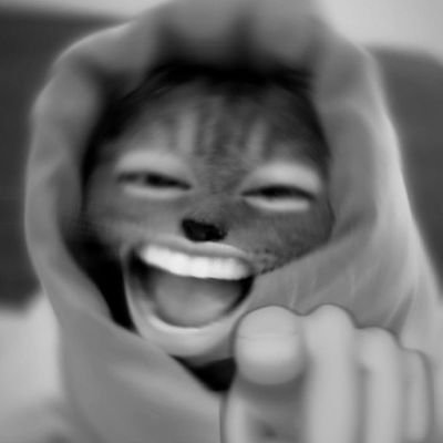 qlq1235's profile picture. 