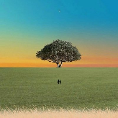 teach_me_247's profile picture. 