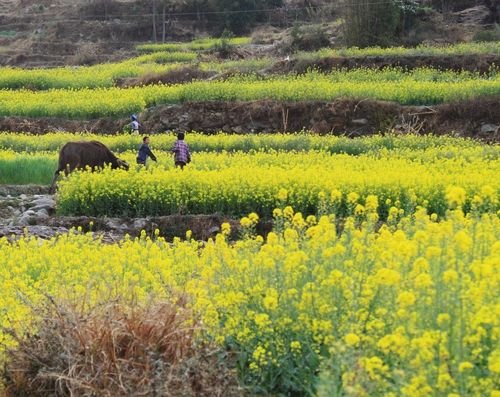 Chabou1994's profile picture. 