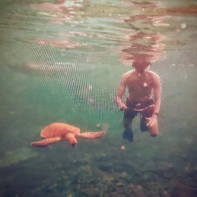 siddharthdarbha's profile picture. now on Forbes 8billion under 8billion
entrepreneur+athlete+artist=?
✒️ poet, writer @_seeingclearly_
🐕 cofounder @mywagr
🎸 musician