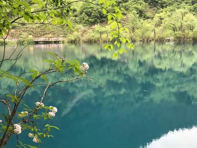 imacarulla's profile picture. Persona del món