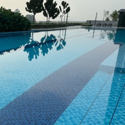 mbt439's profile picture. Fibo & Pattern Uptrend system #XRP #XLM #ADA Wallstreet Investor & ETF