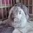 FMportable's profile image