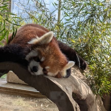 Samurai_2945's profile picture. 