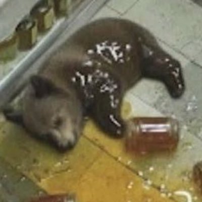 Khasssann's profile picture. 