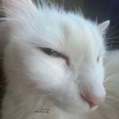 Dreamer_618's profile picture. Nothing can happen until you swing the bat
https://t.co/vqu652EOWd
https://t.co/rAOxP98AkA