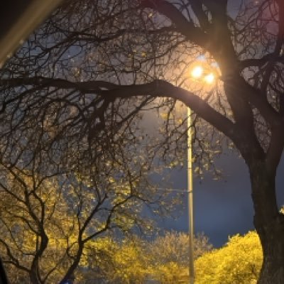 elloioas's profile picture. to remain in the no longer