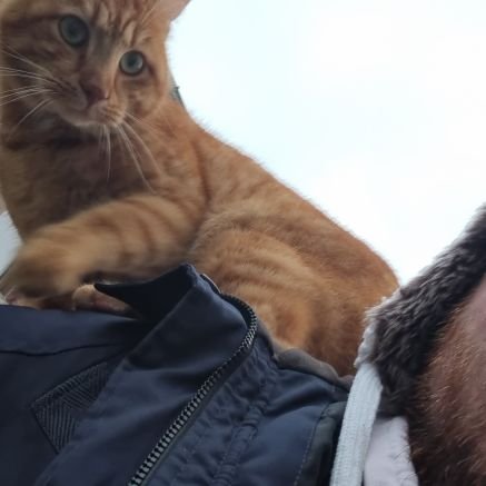 itallverygood's profile picture. 