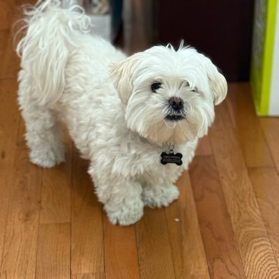 pknueppel2004's profile picture. Student at Michigan State University. Computer Science/Cybersecurity.