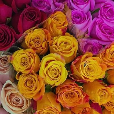 islam_afri55373's profile picture. 