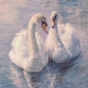 childofcosmos_'s profile picture. sunshine on two feet