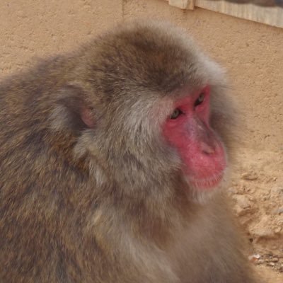 __VA_OPT__'s profile picture. we conjure the spirits of the computer with our spells