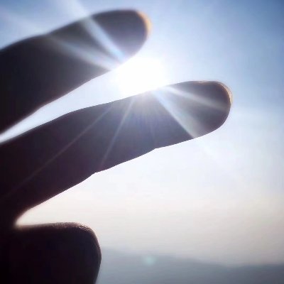 ludong20's profile picture. 