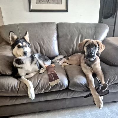 bobzillagwn's profile picture. Bob Married Sports nut.. Outdoors man..  
TRAVELING 
🇨🇦🇬🇧🏴󠁧󠁢󠁳󠁣󠁴󠁿  fly fishing 
 TwitterDad 
 Wildlife photographer
I brake for🦉📸 🚫🇺🇸