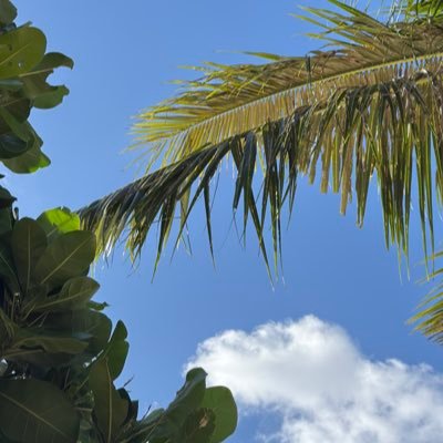 9kTMofvVj277308's profile picture. スポーツベットでBリーグチームの保有を目指します