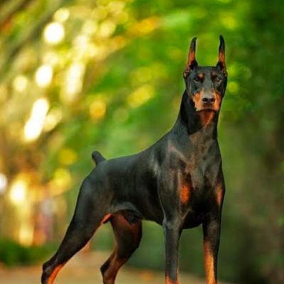 yuth1273697's profile picture.
