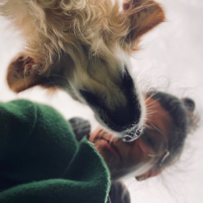 MMikrosko's profile picture. 🎭Czasem jakiś komentarz parodystyczny.
🐶Często zdjęcie psa. 
📸Generalnie amatorsko-aparat telefoniczny z funkcją mikroskopu.