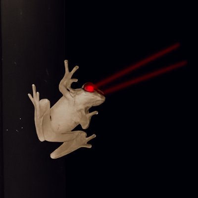 flpatriot369's profile picture. Time isn't real 🕕 Fix2020 
FamilyIsEverything 💚🇺🇸🇮🇪