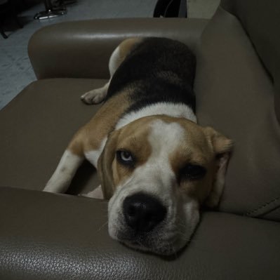 JarukunT's profile picture. ชื่นชอบ ฟรีน เบคกี้ และ ฟรีนเบค 🌷🌹🐰🧚🏻