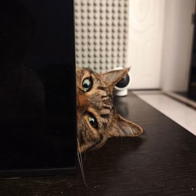 theboredkai's profile picture. Per aspera ad astra |
sales manager @KEYMOJISTUDIO
DM open for collaborations|
Discord:#theboredkai