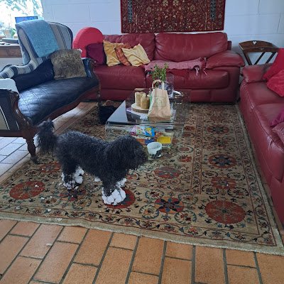 ch41054's profile picture. 