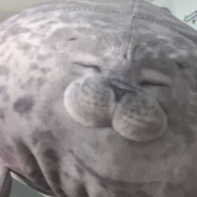 sikoku_himawari's profile picture. Ika&garde. 18+
kyrie eleison