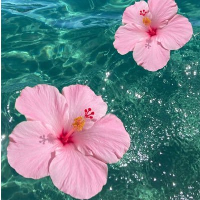 sazisazi00's profile picture. ドル円メインに奮闘中