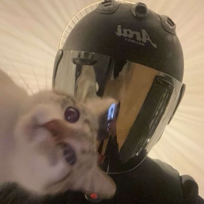 MANYXVII's profile picture. En détente (27)