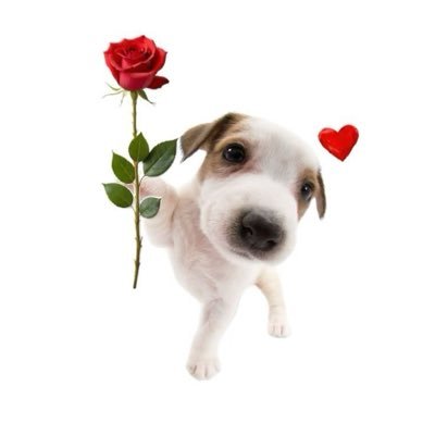 kkrtuiioplyywx's profile picture. 