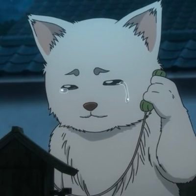 23hibiscus_'s profile picture. 20 up